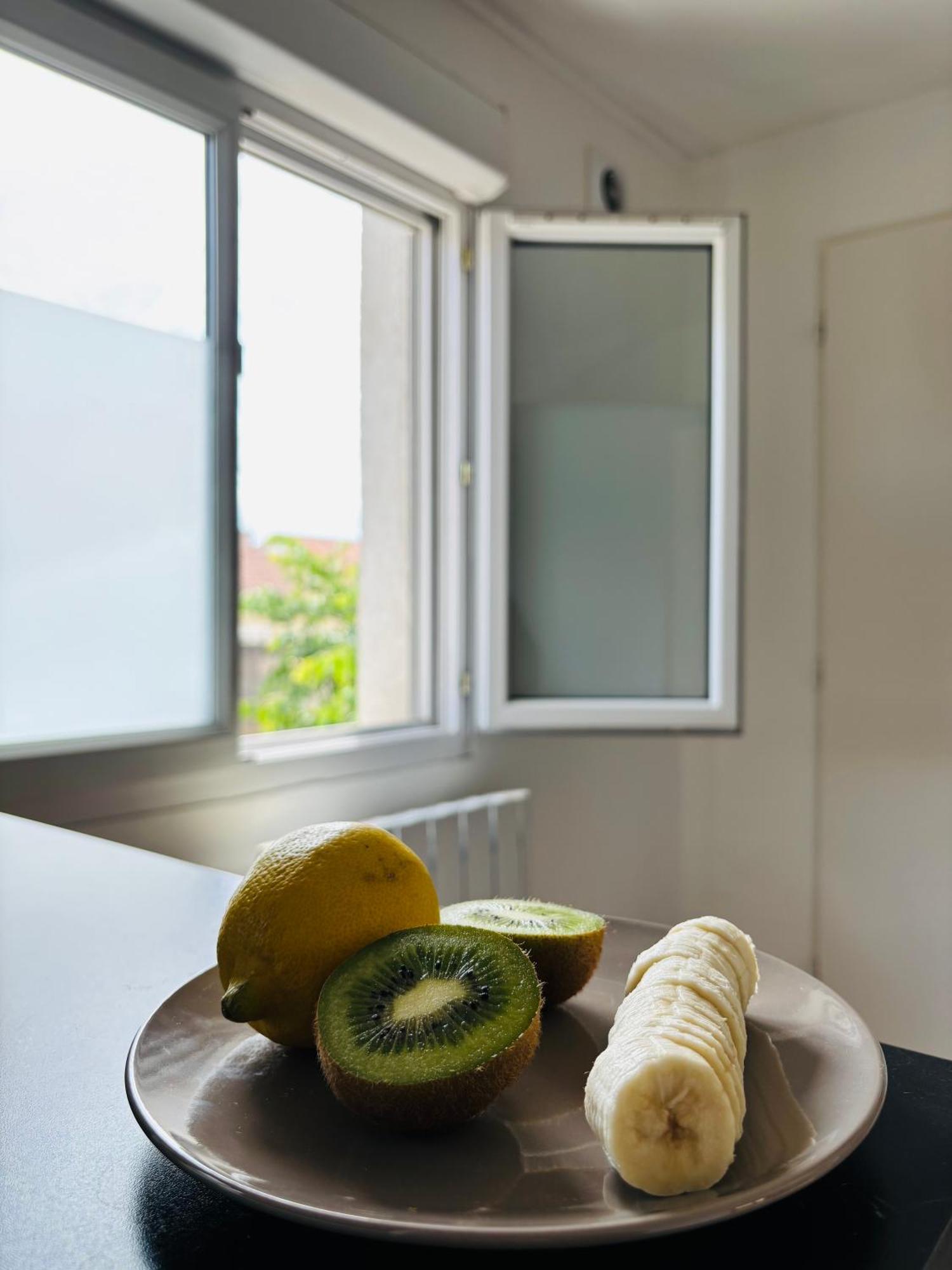 Appartement Avec Terrasse - Goupama Stadium, Eurexpo, Ldlc Arena, La Soie 보-앙-벨랭 외부 사진