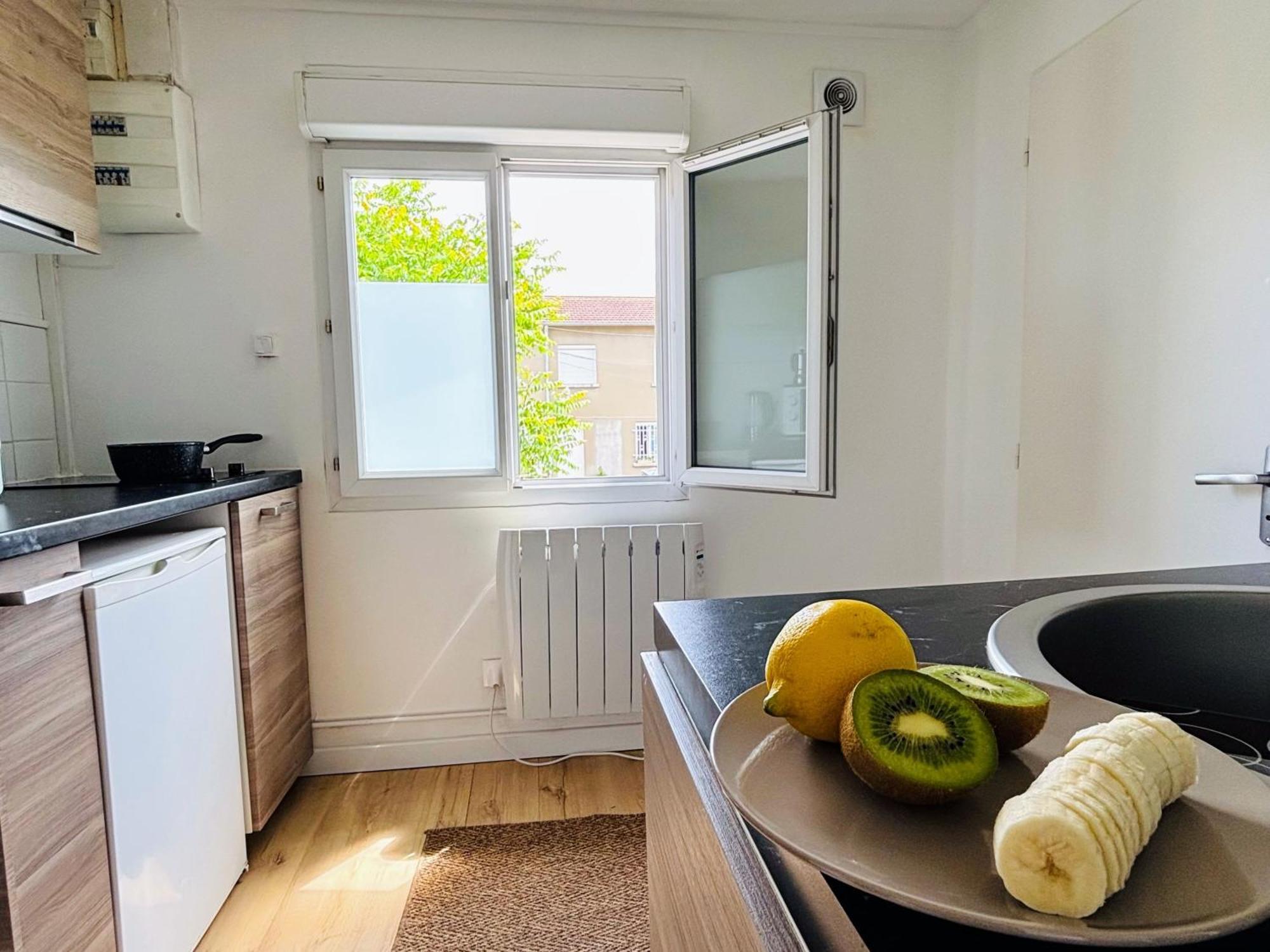 Appartement Avec Terrasse - Goupama Stadium, Eurexpo, Ldlc Arena, La Soie 보-앙-벨랭 외부 사진